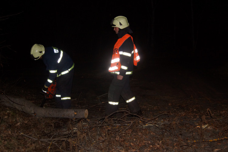Vítr lámal stromy, hasiči se nezastavili
