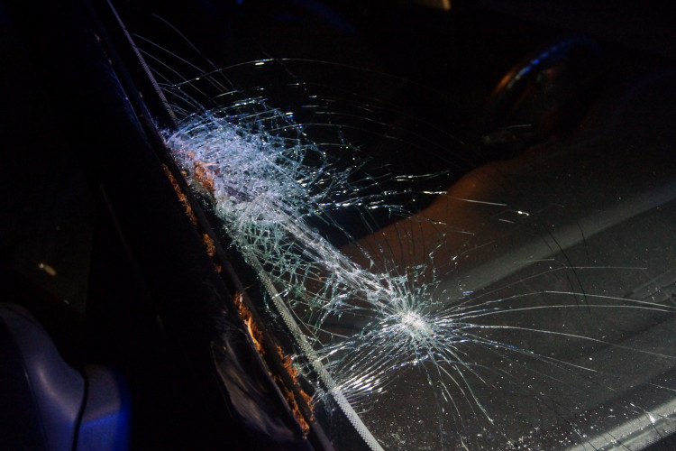 Vítr lámal stromy, hasiči se nezastavili