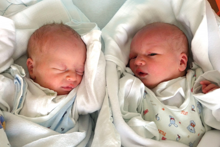 Mendlík Filip a Martin