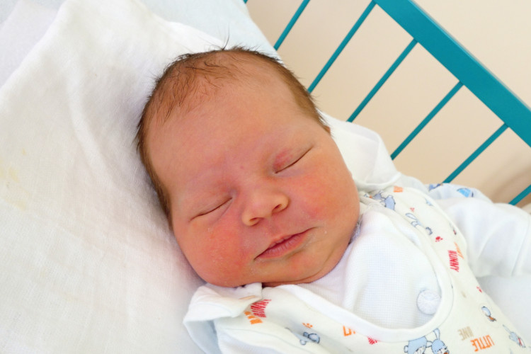 Zelenková Annabella