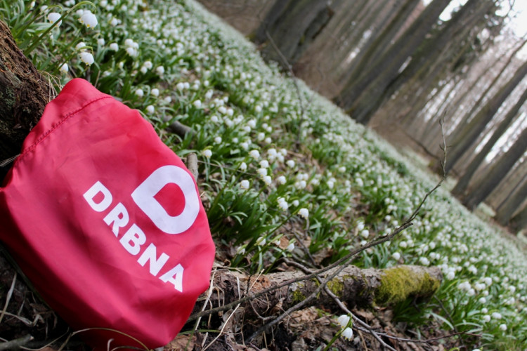 Bleduliště Jechovec