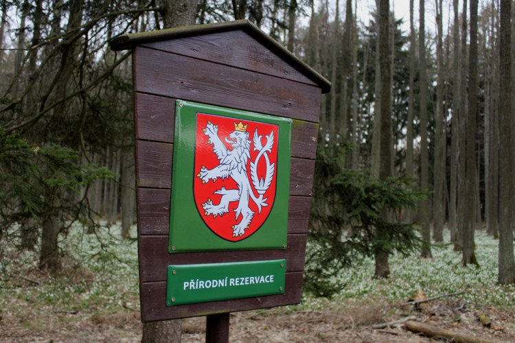 Bleduliště Jechovec