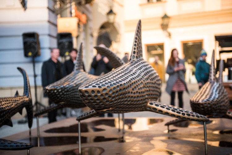 Žraloci obsadili Šilingrák, autor: Tomáš Hrivňák