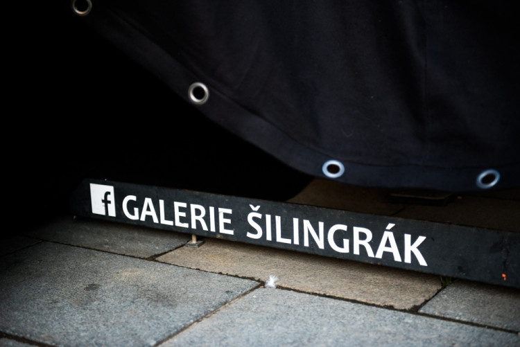 Žraloci obsadili Šilingrák, autor: Tomáš Hrivňák