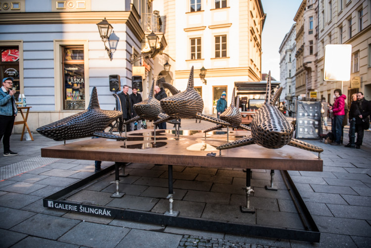 Žraloci obsadili Šilingrák, autor: Tomáš Hrivňák