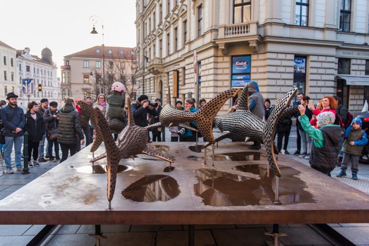 Žraloci obsadili Šilingrák, autor: Tomáš Hrivňák