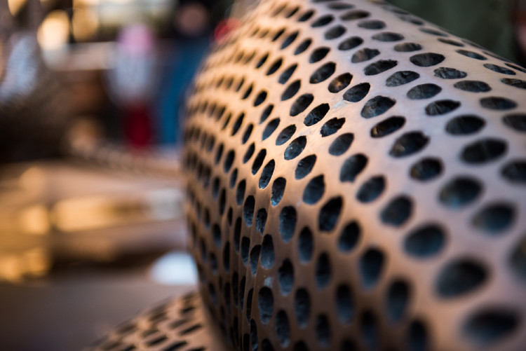 Žraloci obsadili Šilingrák, autor: Tomáš Hrivňák