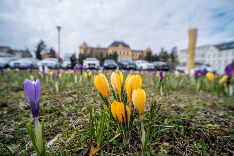 Jaro na Českobudějovicku
