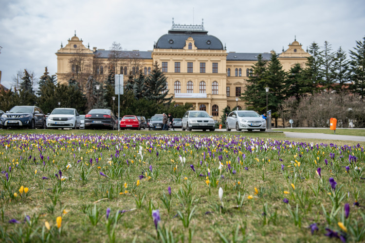 Jaro na Českobudějovicku