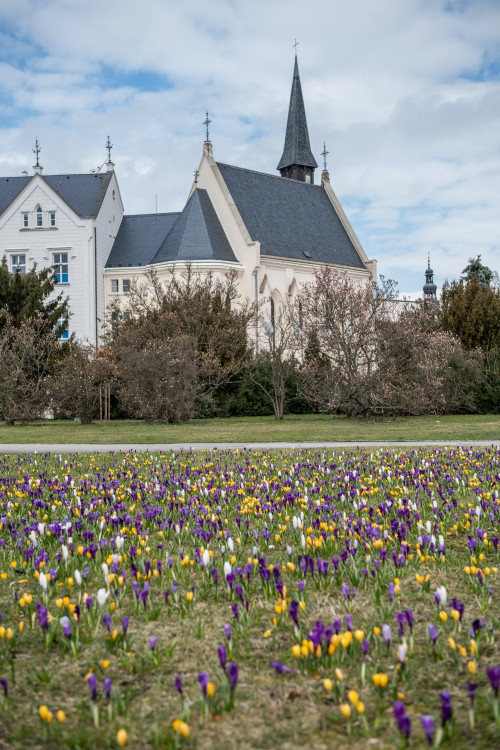 Jaro na Českobudějovicku