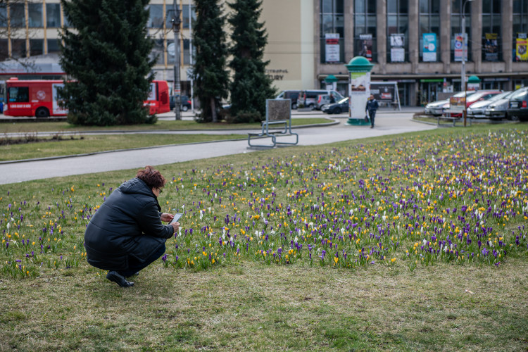 Jaro na Českobudějovicku