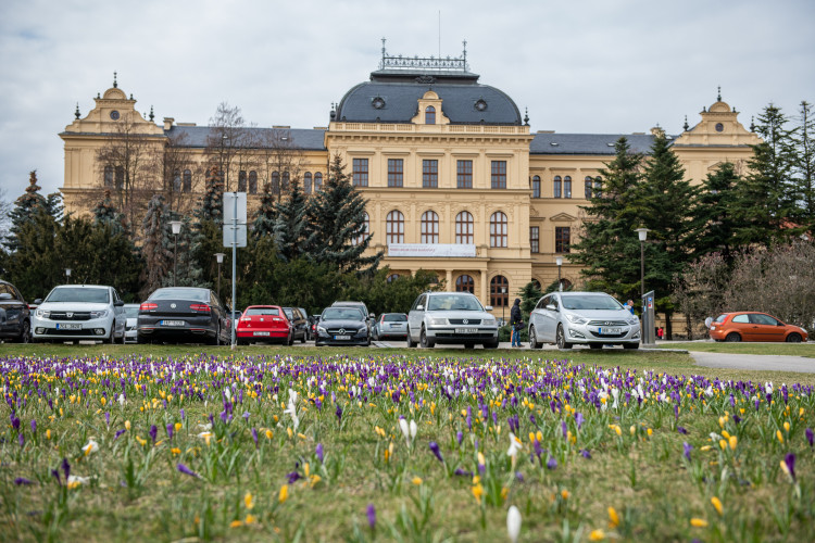 Jaro na Českobudějovicku
