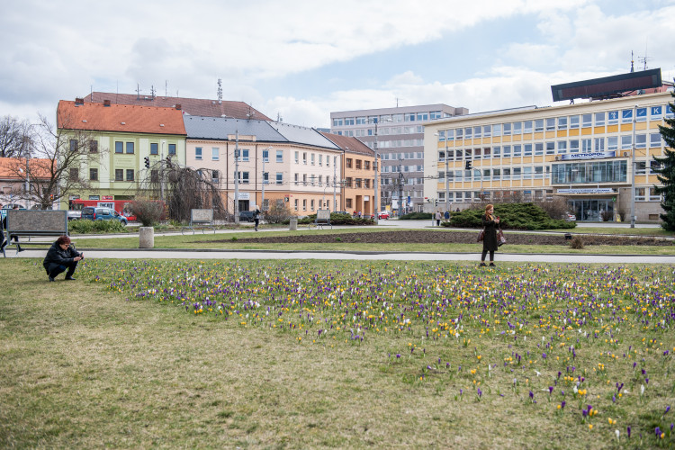 Jaro na Českobudějovicku