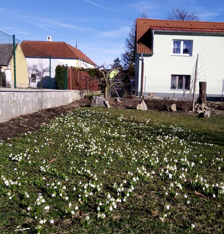 Jaro na Českobudějovicku. Foto: Marta Kinkorová