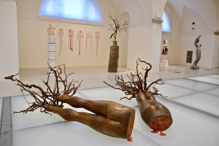 Krása a půvab v liberecké galerii