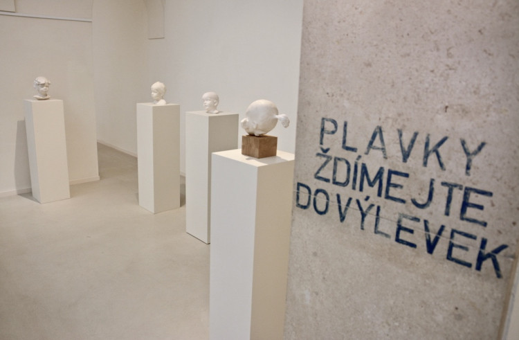 Krása a půvab v liberecké galerii