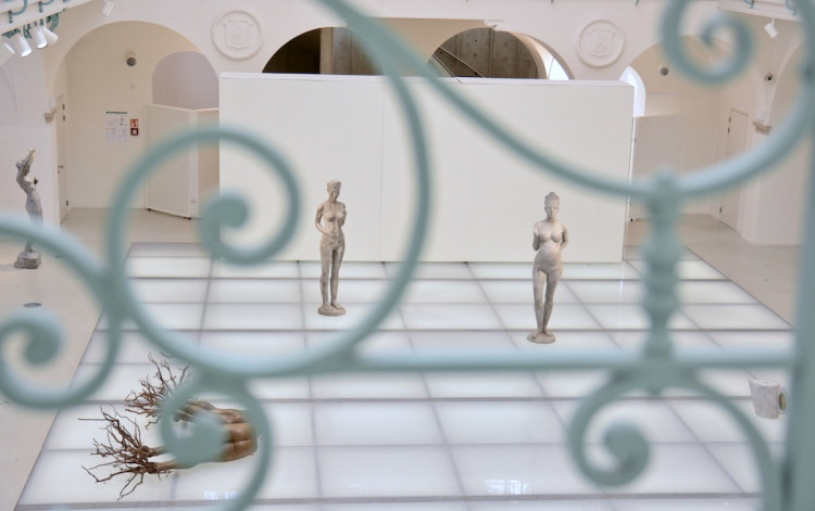 Krása a půvab v liberecké galerii