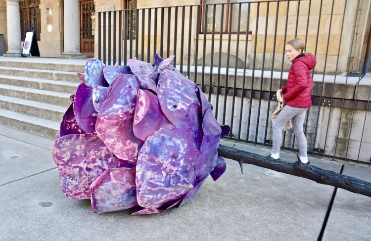 Krása a půvab v liberecké galerii