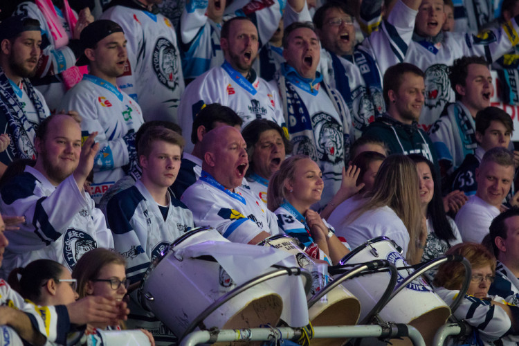 Tygři porazili Boleslav 6:2
