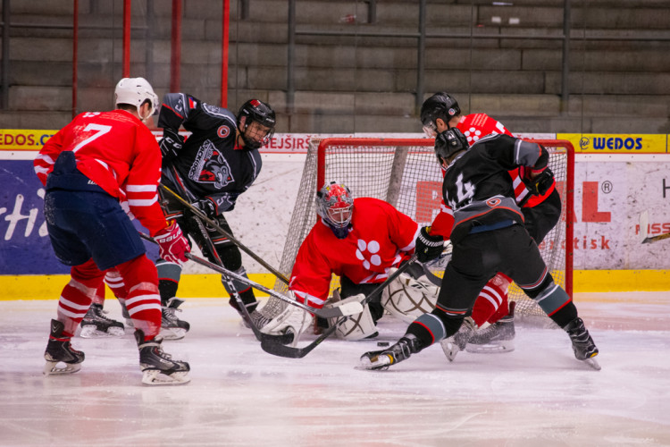 Jihočeská univerzita neobhájila titul z loňského roku, na ledě podlehla VŠTE
