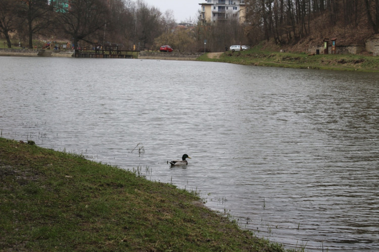 Stará Plovárna v Jihlavě - nové interaktivní tabule