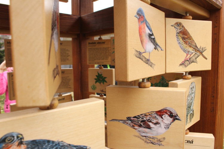 Stará Plovárna v Jihlavě - nové interaktivní tabule