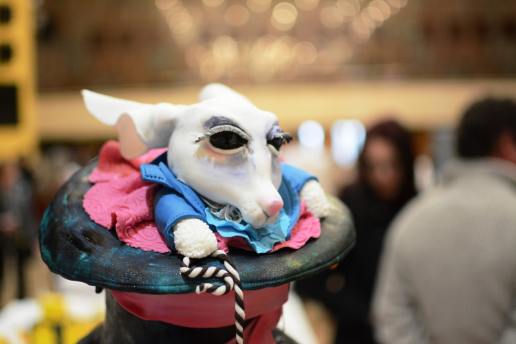  Ráj pro labužníky! Kuchaři a cukráři kouzlili v Aldisu