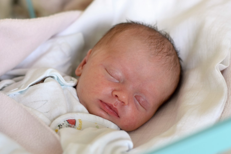 Prušáková Anežka