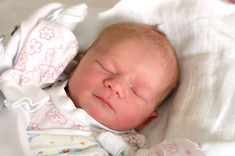 Ryšánková Kateřina