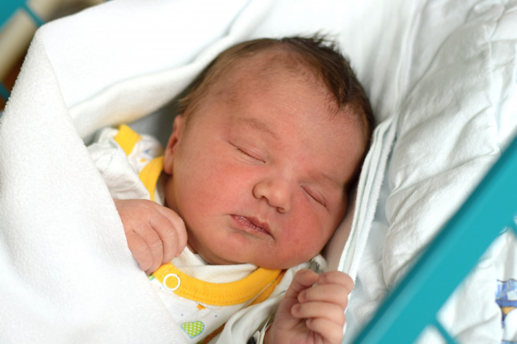 Šindelářová Adéla