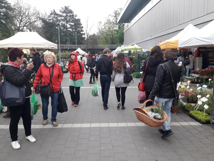 Jarní Flora Olomouc