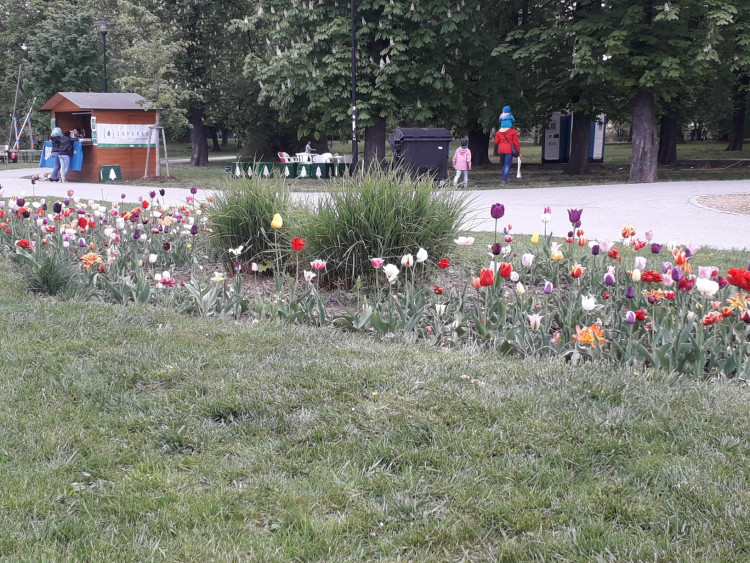 Jarní Flora Olomouc