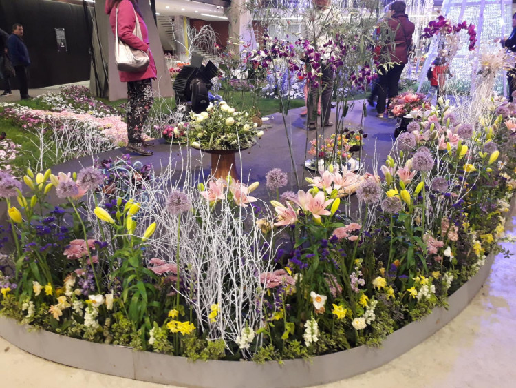 Jarní Flora Olomouc