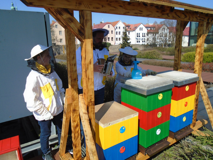 Včely na střeše Cityparku