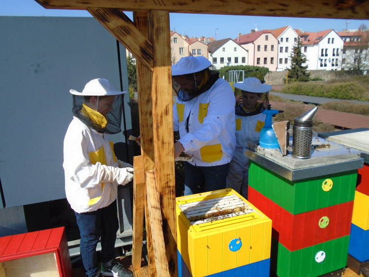 Včely na střeše Cityparku