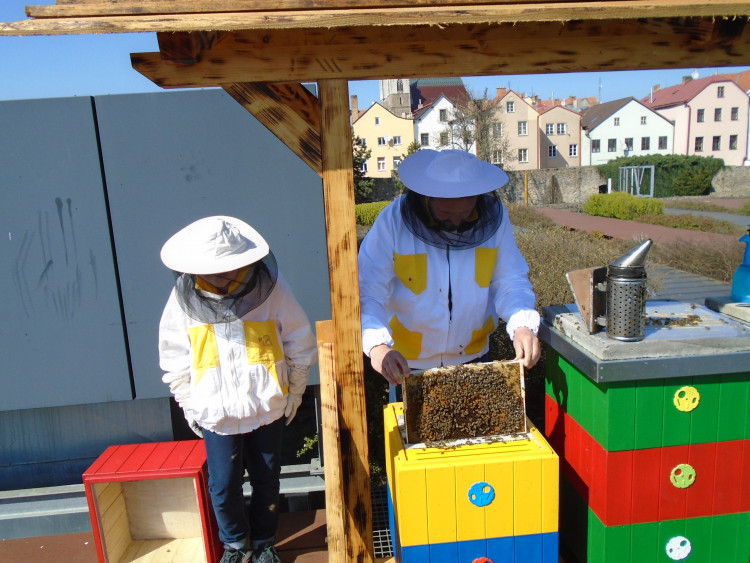 Včely na střeše Cityparku