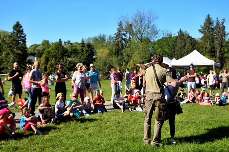 FOTOGALERIE: V parku se konal pátý ročník charitativní akce Jeden běh nestačí. Podívejte se na fotky!