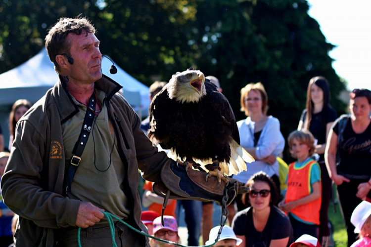 FOTOGALERIE: V parku se konal pátý ročník charitativní akce Jeden běh nestačí. Podívejte se na fotky!