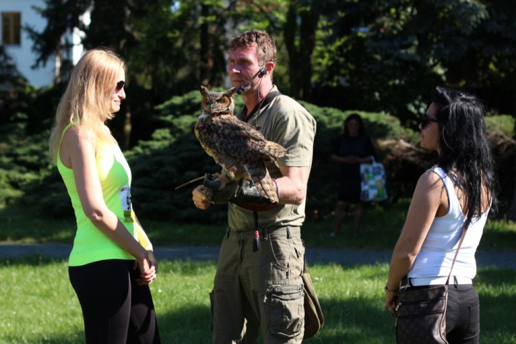 FOTOGALERIE: V parku se konal pátý ročník charitativní akce Jeden běh nestačí. Podívejte se na fotky!