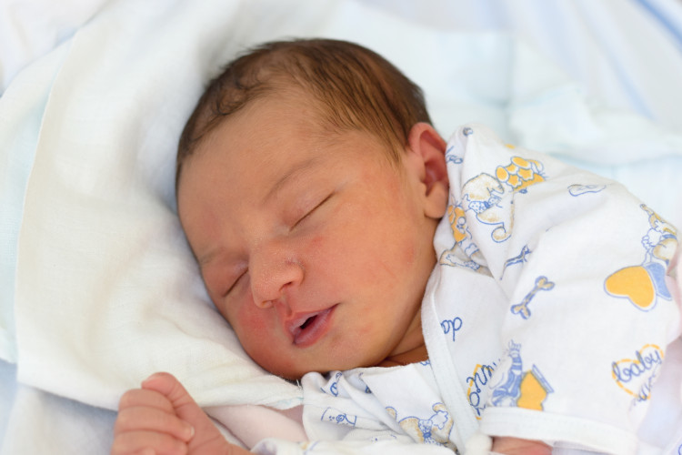 Laštovičková Kateřina