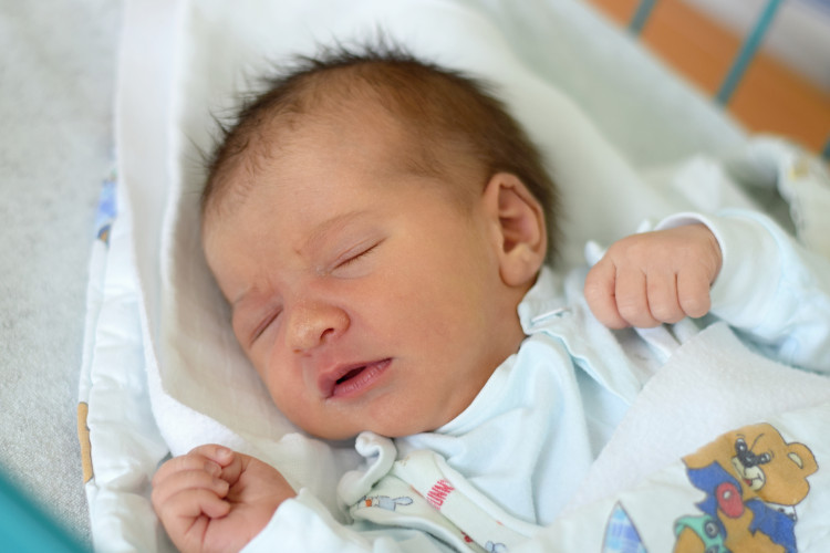 Luňáčková Michaela