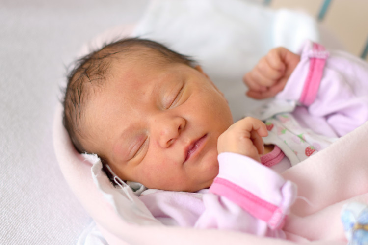 Ambrůžková Michaela