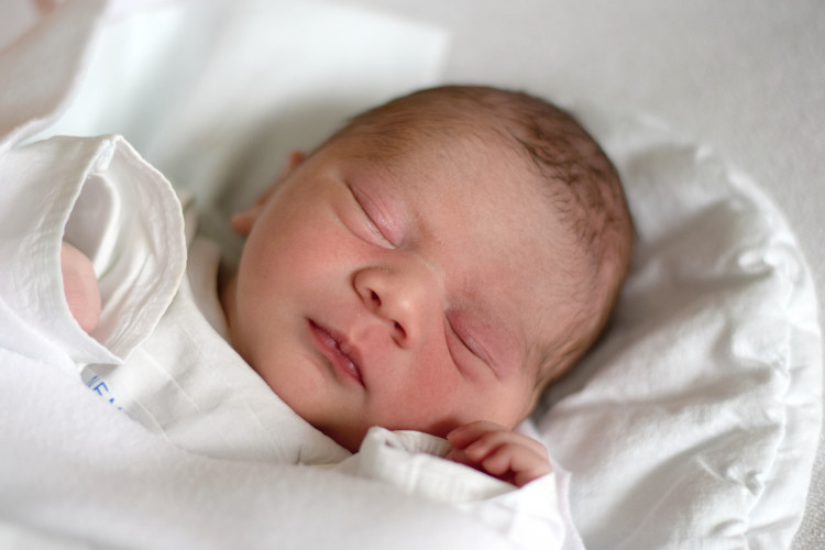 Kica Sebastian Adrian