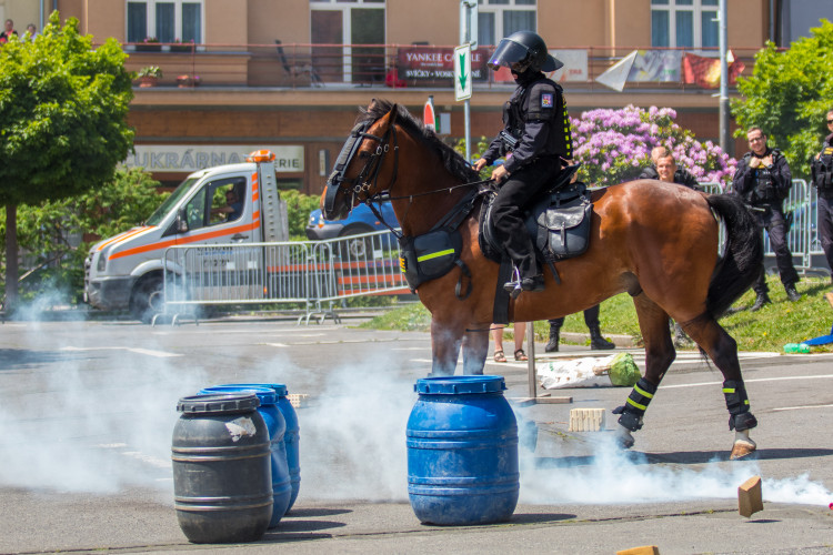 Den IZS v Jablonci nad Nisou
