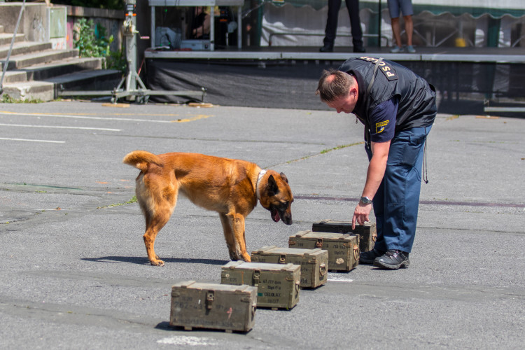 Den IZS v Jablonci nad Nisou