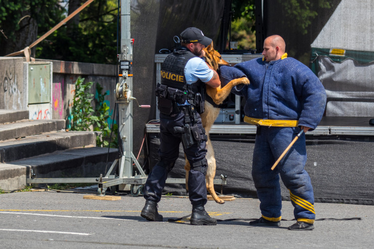 Den IZS v Jablonci nad Nisou