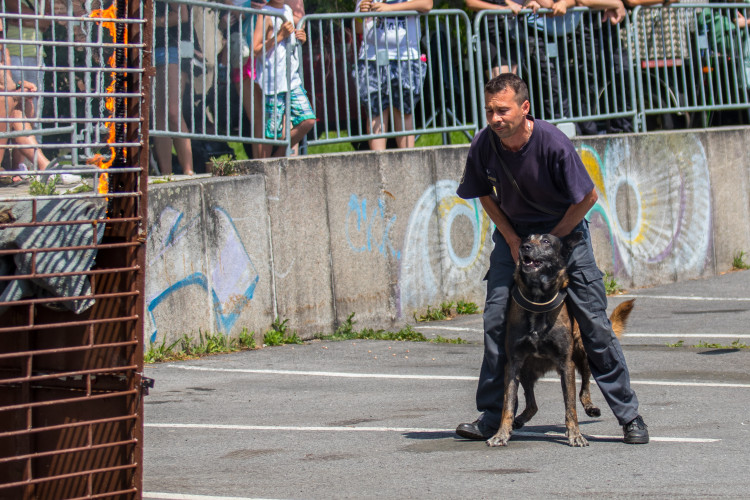 Den IZS v Jablonci nad Nisou
