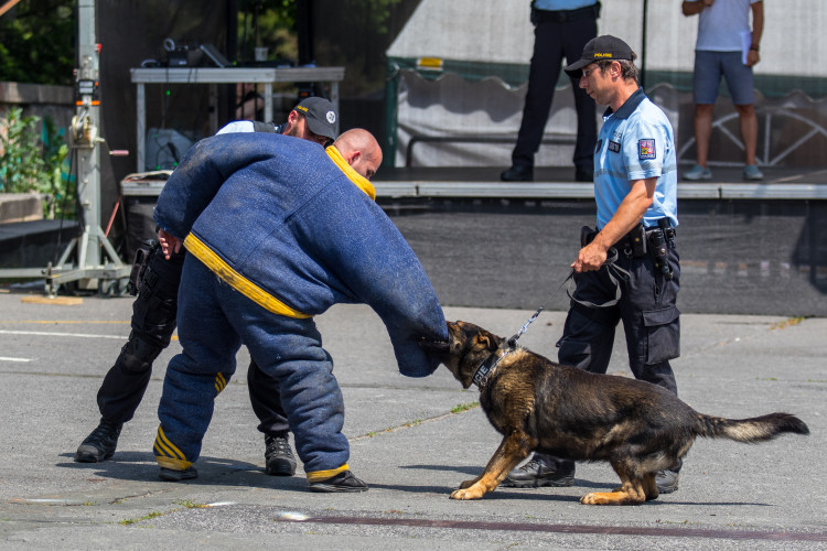 Den IZS v Jablonci nad Nisou