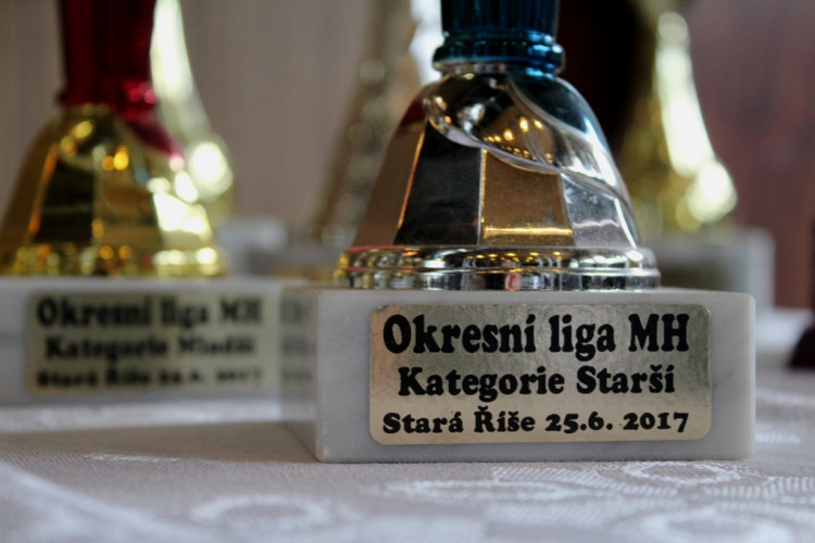 SDH Dolní Cerekev oslavila 130 let