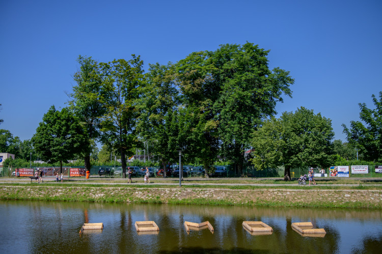 Umění ve městě 2019